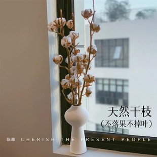 棉花枝自然干花花束客厅摆设天然木棉花家居装饰新疆道具插花客厅
