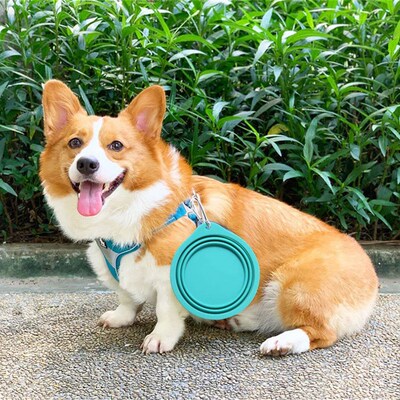 350/600ml Large Collapsible Dog Pet Folding Silicone Bowl Ou