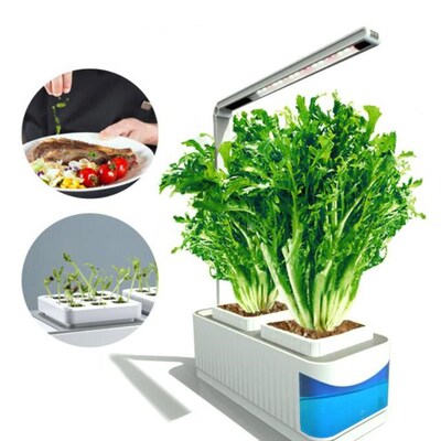Multifunctional Indoor Herb Gardening Planter Kit Hydroponic