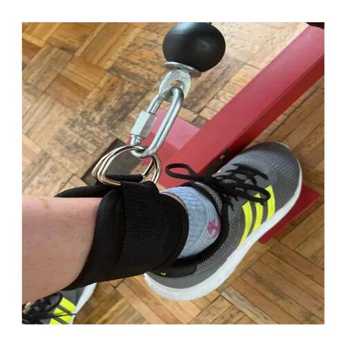 Fitness Equipment Gym Ankle Strap Padded Double D-ring Adjus
