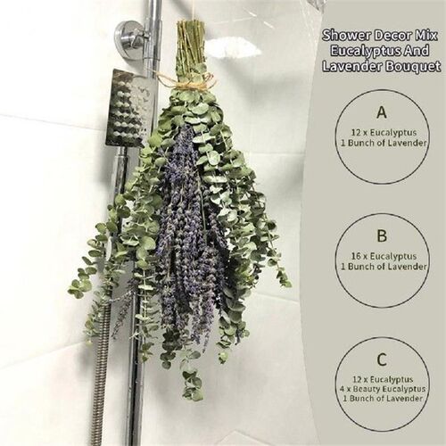 尤加利沐浴香氛叶片 无需浇水持久香味居家浴室扩香叶 Eucalyptus