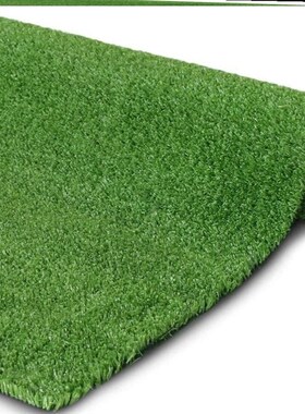 Artificial Grass Turf 2x5m Indoor Outdoor BalconyV Garden草
