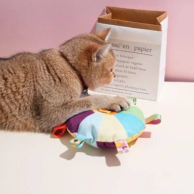 Funny Rainbow Plush Flying Saucer Dog Toys Outdoor Interacti