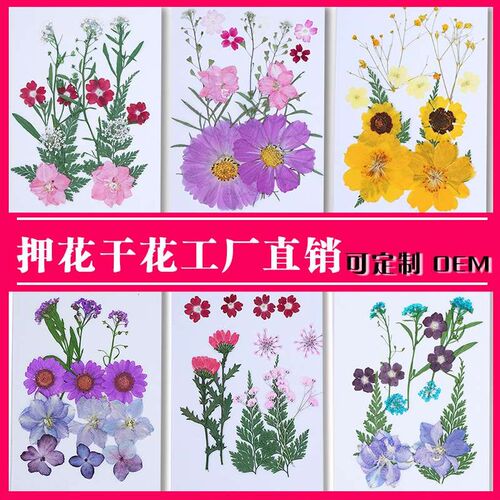 Dried Flower Baffle  Material Bag Face Embossed Photo Leaf P