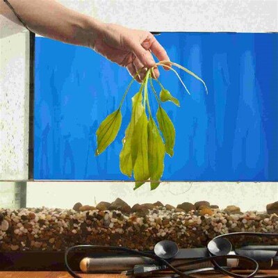 30 X52cm Terrarium Background Adhesive Decal Wallpaper