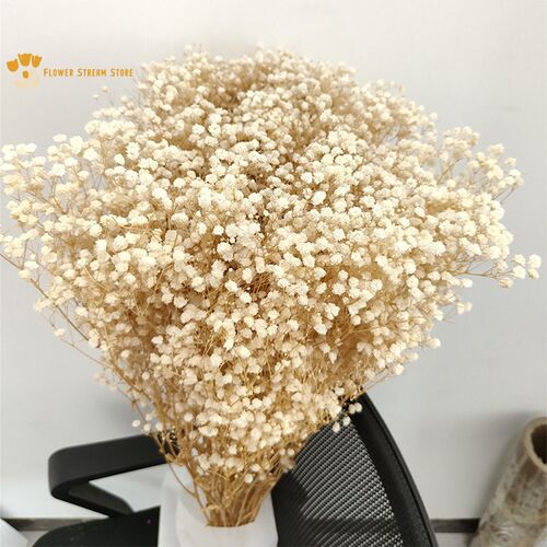 100g Natural Dried Flowers Baby Breath Flowers Bouquets