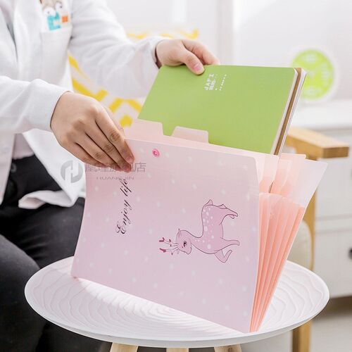 Cute Cartoon A4 File Folders 5 Pockets Office Expanding File