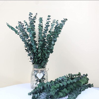 Eternal Eucalyptus Leaves Dried Flower Bouquet Flower Arrang