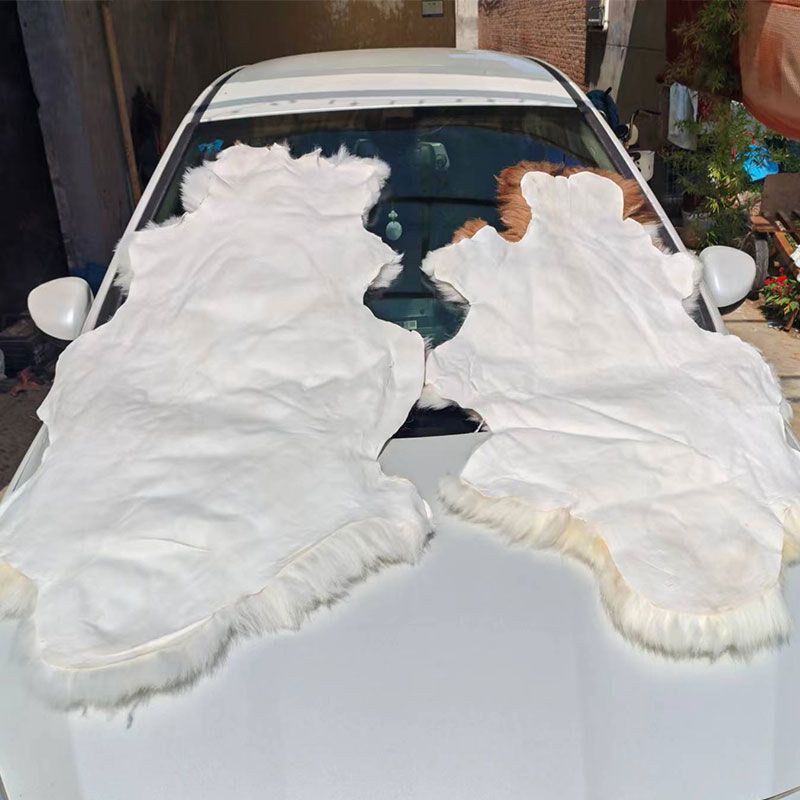 。加厚整张羊毛皮毛一体汽车宿舍坐垫毛毯单外出旅行专用保暖防潮,纺织面料/辅料/配套,蚕茧/蚕丝,淘宝优惠券,粉丝福利购,淘宝优惠卷