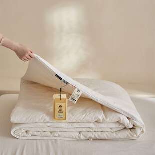 A类全棉贴身透气春秋被 北方冬季暖气用被芯18到23度左右用被子