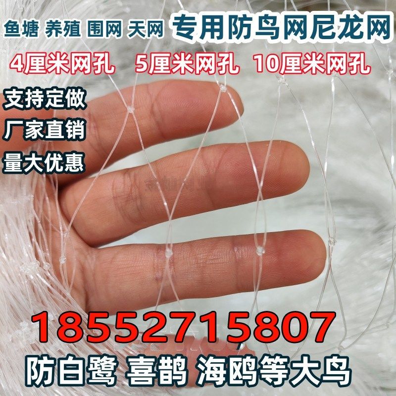 鱼塘尼龙防鸟网4厘米5厘米网眼10公分孔池塘泥鳅青蛙龙虾养殖天网