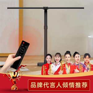 靓投双头学习护眼台灯明亮超亮卧室床头灯屏幕挂灯学习台灯办公灯