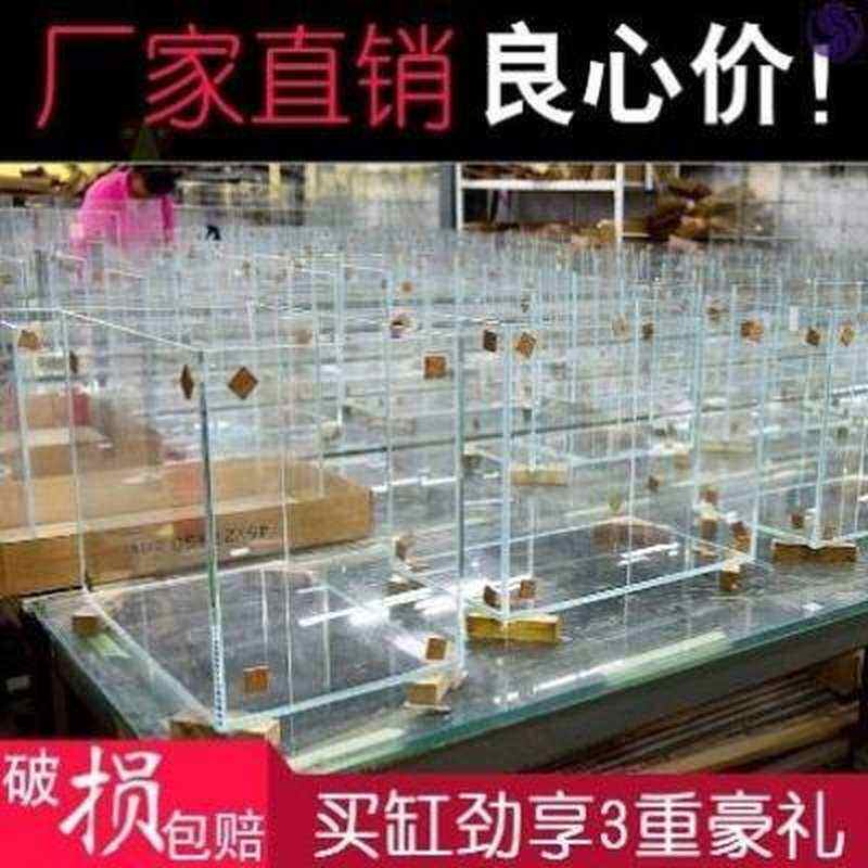 新款进门玄关鱼缸小型桌面创意精致迷你客厅小用超白缸乌龟缸金免