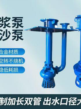 液Y堵下渣浆泵Z立式渣浆泵排污无高铬合长金抗腐蚀加单双管OYV渣