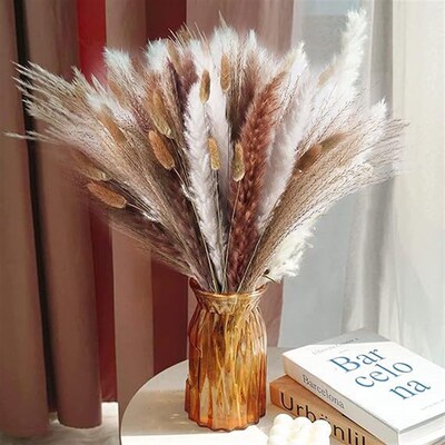 Dried Flowers, Reed Bouquet, Rabbit Tail Grass Whisk, Natura