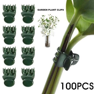 Plant Climbing Wall Butterfly Clips Vine Buckle Hook Clamp
