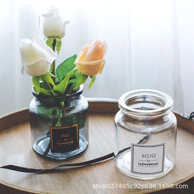 European-style Simple Desktop Small Vase Transparent Glass H