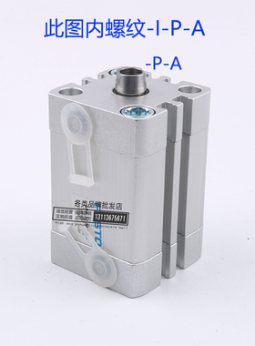 薄型气缸 DN--10-20--30-32----3-0--100-I--P-