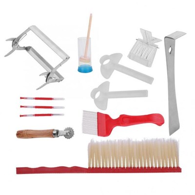 12Pcs Beekeeping Tools Kit Stainless Steel Tool Bee Brush Ex