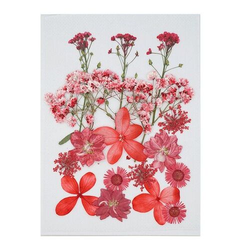 Real Flower Pressed Flower Internet Celebrity Face Decoratio