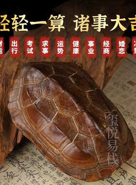 周易卦卜铜钱龟壳爻六铜钱工具真龟甲六爻铜钱摇卦算挂用品卦牌