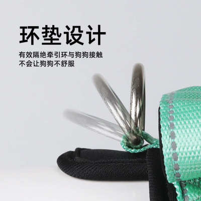 Dog leash for walking small and medium sized dogs