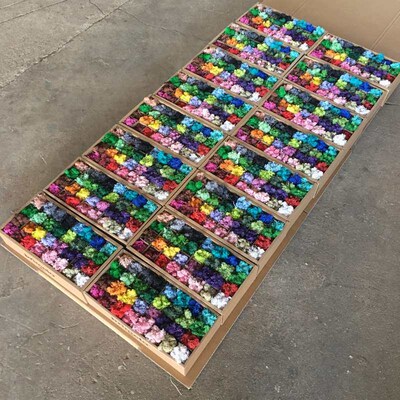 Immortal Reindeer Moss White Hair Moss Large Boxed 500g200g