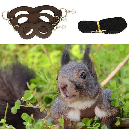 3Pcs PU Leather Hamster Chest Strap Windproof Anti Lost