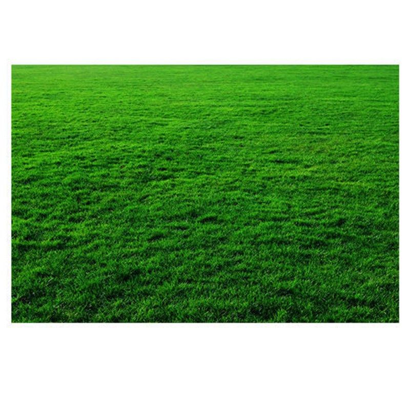 草地草坪贴画绿色护眼壁纸自粘贴画宿舍海报辽阔草原风景挂画,家居饰品,现代装饰画,淘宝优惠券,粉丝福利购,淘宝优惠卷