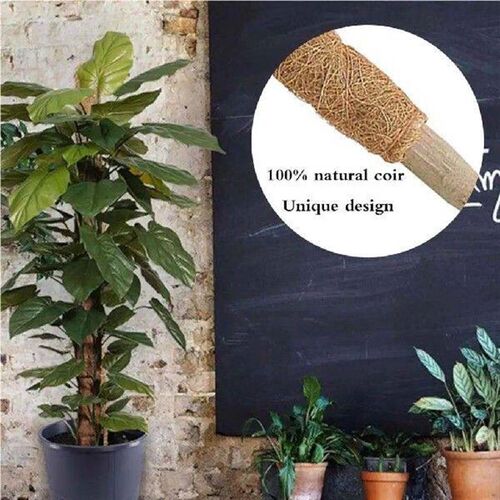 50cm Plant Climbing Stick Coconut Strut Support Rod Poles