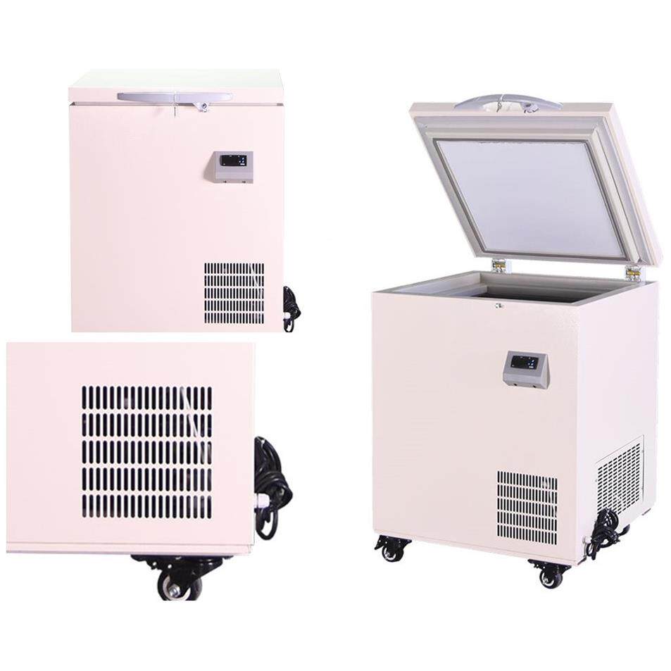 222年畅款 60L -60℃实验销室卧式0小容用量601冰箱