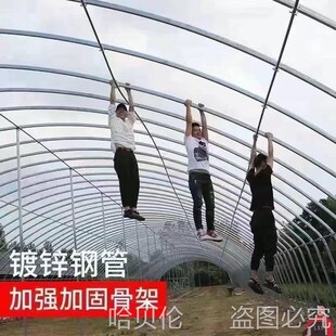 大棚钢管骨架全养殖大棚全养鸡大棚骨架配件大全蔬菜大棚全