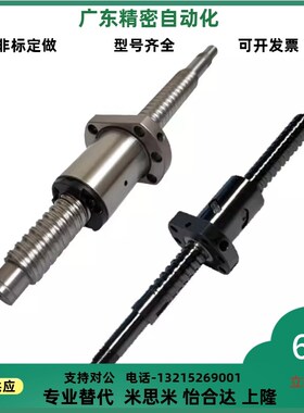 滚珠丝杆装BSX BSS BSSE001 100 02 10 15 2010 20