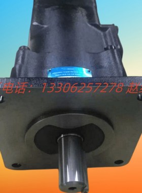 TCCW 022 008/00/005/003 1R00/2R00 C100丹尼逊DENISON叶片泵