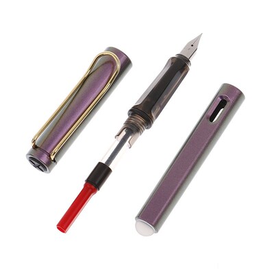 Erasable Ink Fountain Pen Super Fine Nib Calligraphy Signatu