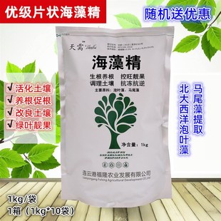 海藻精原粉片状藻源低温酶解水溶性海藻酸低温溶解生根通用叶面肥