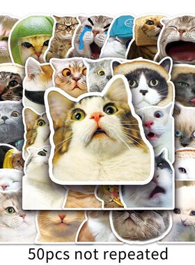 65pcs Funny Cute Cat Meme Stickers Kid Toy Scrapbook Noteboo