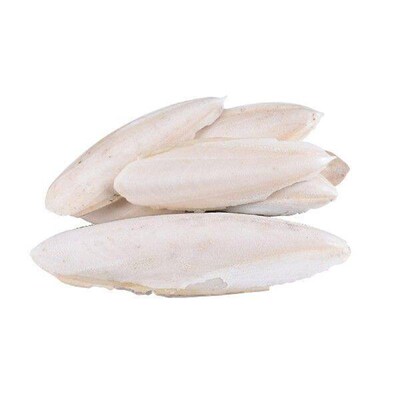 Cuttlefish Bone Parrot Chew Toy Hamster Parrot Food