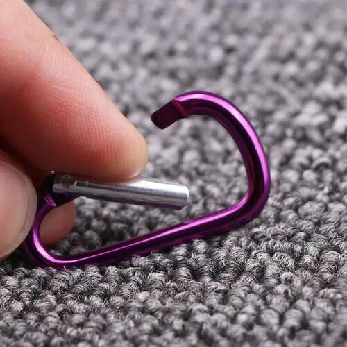 Mini Carabiner Keychain Aluminum Alloy D-ring Buckle Spring