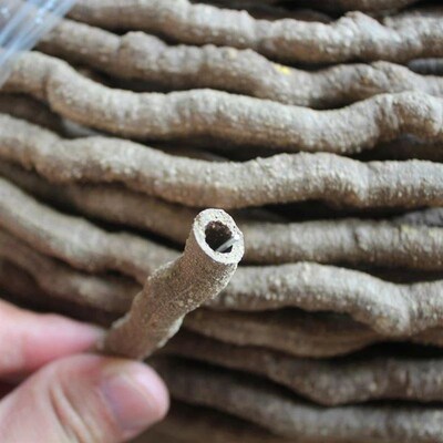 100cm Flexible Vines Bendable Jungle Climber Reptile Pet Sup