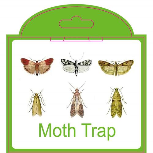 5 pcs Fly Insects Sticky Glue Trap Moth Pheromone Trap