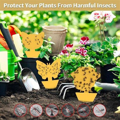 40Pcs Fruit Fly Sticky Traps Non-Toxic and Odorless Yellow