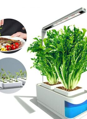 Multifunctional Indoor Herb Gardening Planter Kit Hydroponic