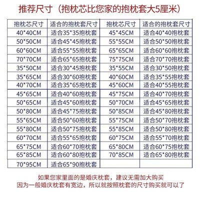 Throw Pillows Sofa Couch Cushion Decorative Pillow insert枕