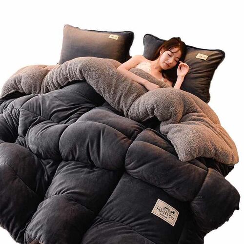 Milk Double-sided Velvet Lamb Velvet Winter Quilt Quilt Core