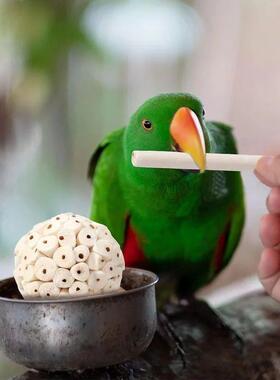 Parrot Chewing Toy Ball Chew Shred Foraging Bird Cage Access