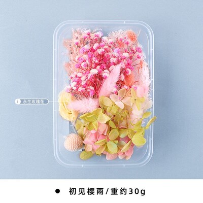 200pc Real Dried Flowers For DIY Art Craft Epoxy Resin Candl