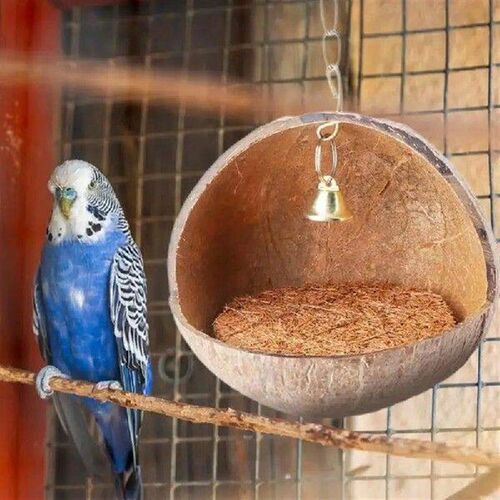 Coconut Bird House Natural Bird Hideaway And Parakeet Nest