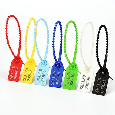 Custom Plastic Security Seal, Numbered Fire Extinguisher Tag