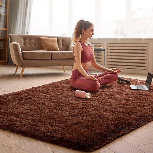 Plush Carpet Living Room Bedroom Fluffy Rug Floor Mat 地毯子